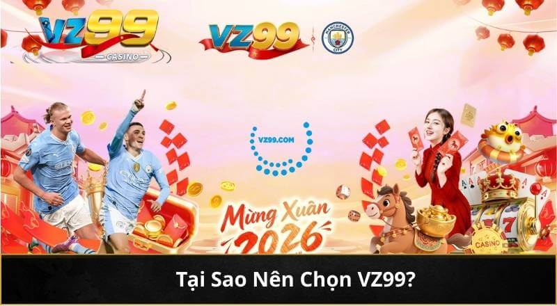 Tại Sao Nên Chọn VZ99?